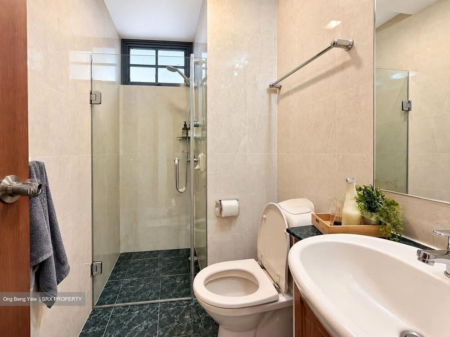 Sanctuary Green (D15), Condominium #621768011